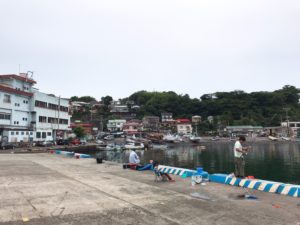 【釣果記事】釣り初心者が「真鶴港」（神奈川県）で釣りをしてきました。